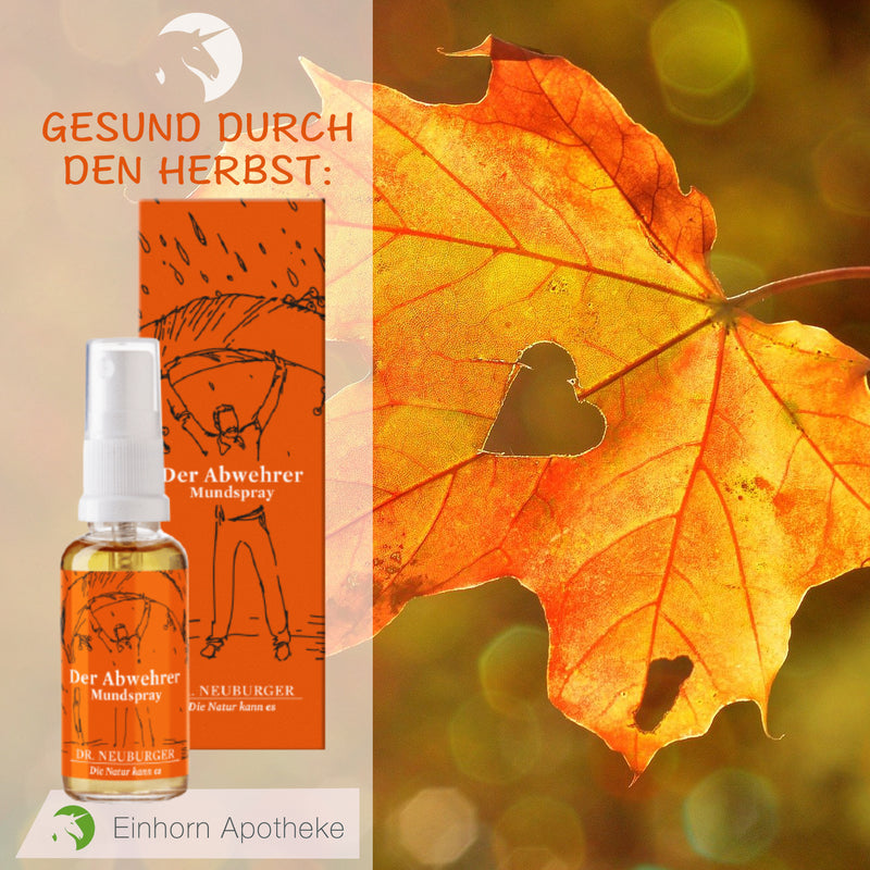 Gesund durch den Herbst: 🍁🍂