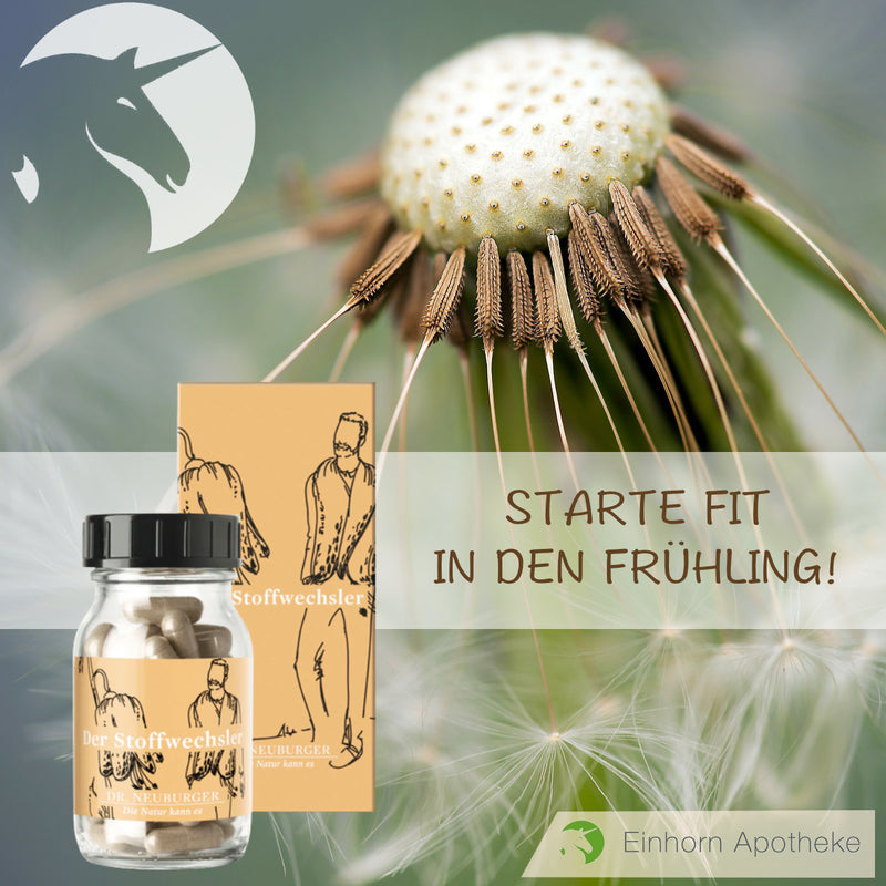 Du willst dich von Altlasten befreien und fit in den Frühling starten? 🤸