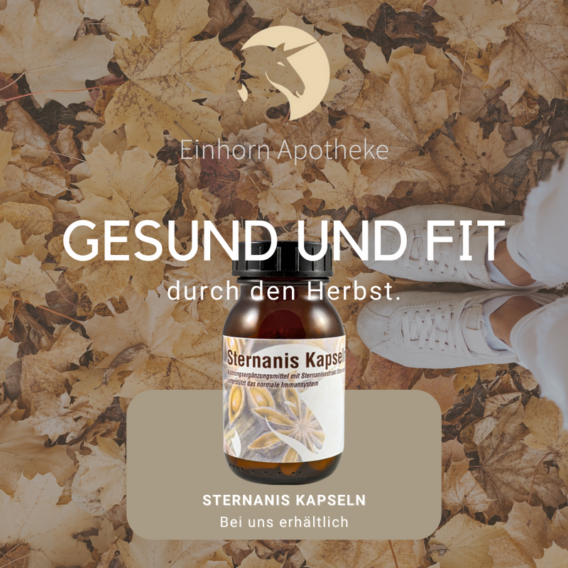Gesund und fit durch den Herbst. 🍁